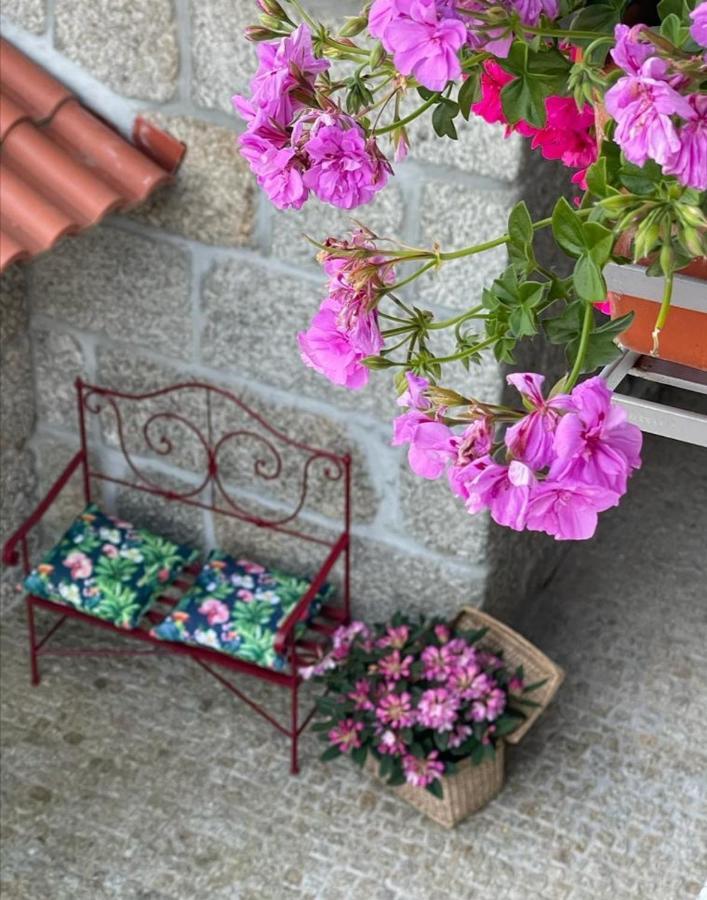 Casa Da Portela - Sem Igual Meinedo Kültér fotó